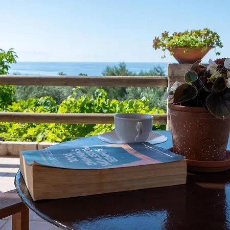 Dom wakacyjny Olive Garden Stone House Near The